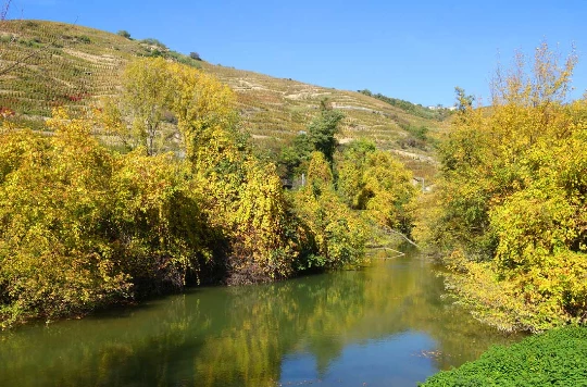 Le Rhône à vélo : Lyon - Montélimar - Photo 1