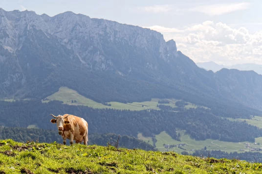 Rando & Bien Etre Walchsee - Photo 7