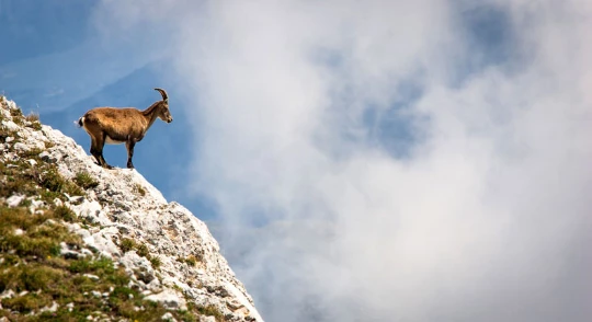 Tour du Vercors - Photo 4