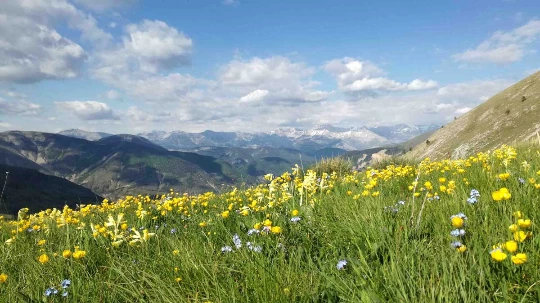 Retrouvance® : Haute-Provence - Photo 7