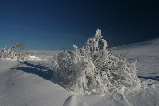 Auvergne en étoile - Photo 12
