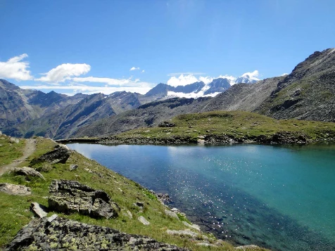 Grand Paradis en liberté - Photo 11
