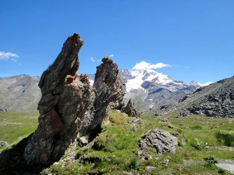 Grand Paradis en liberté - Photo 10