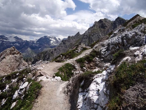 Grand Paradis en liberté - Photo 4
