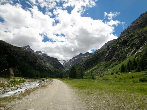 Grand Paradis en liberté - Photo 12