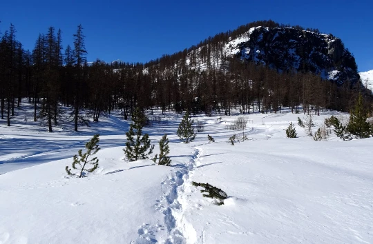 WE Réveillon dans les Ecrins - Photo 6