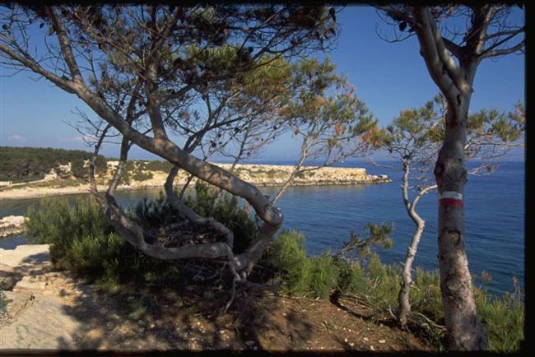 WE Réveillon Côte Bleue & Iles du Frioul - Photo 7