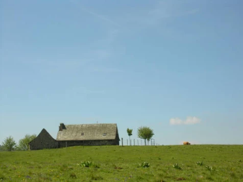 Saint Jacques de Compostelle  : Aumont Aubrac à Conques - Photo 2