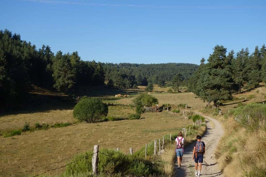 Saint Jacques de Compostelle : Le Puy à Aumont Aubrac - Photo 3