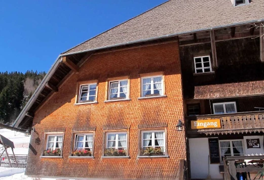 Traversée de la Haute Forêt Noire - Photo 1