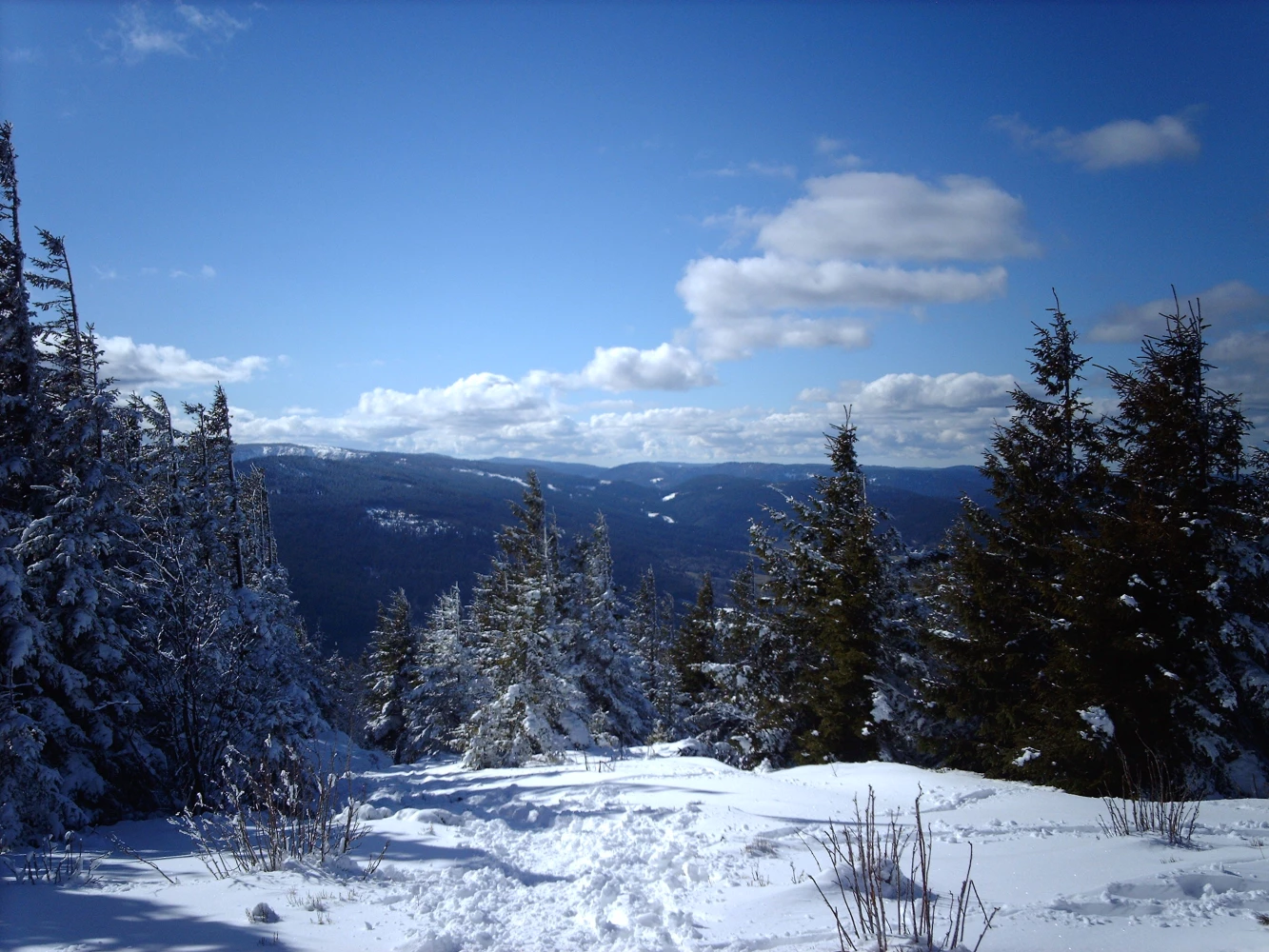 Le Lac Blanc en Liberté - Photo 1