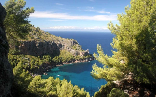 Les baleares : Majorque en liberté - Photo 1