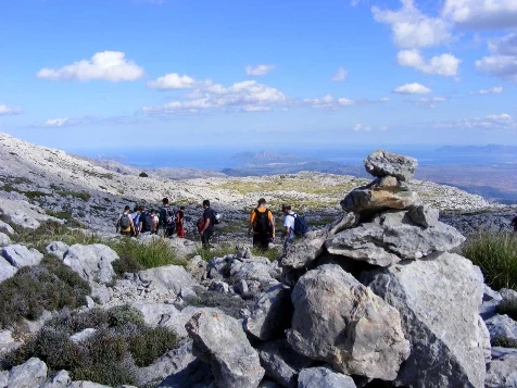 Les baleares : Majorque en liberté - Photo 7