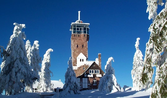 Raquettes & Bien Etre en Forêt Noire - Photo 1