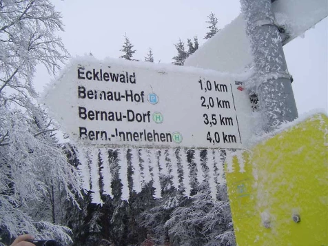 Raquettes & Bien Etre en Forêt Noire - Photo 3