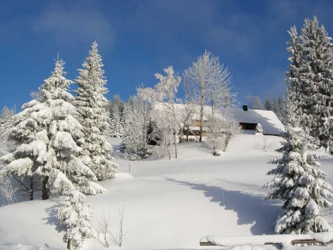 Raquettes & Bien Etre en Forêt Noire - Photo 4