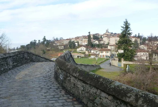 Chemins de Compostelle : Lyon - Le Puy en Velay - Photo 8