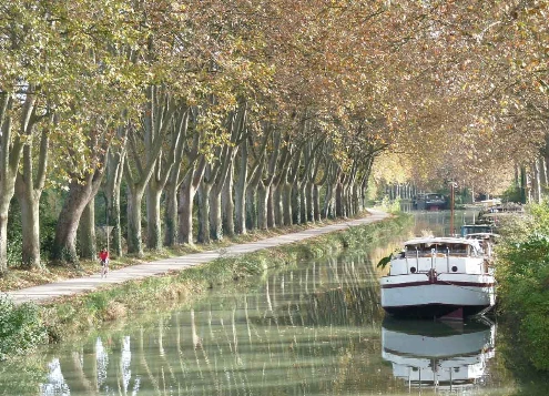Canal du Midi, Toulouse - Sete - Photo 4