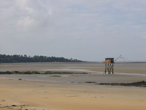 La Loire à Vélo, Saumur - Le Croisic - Photo 3