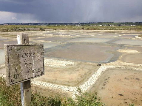 La Loire à Vélo, Saumur - Le Croisic - Photo 7