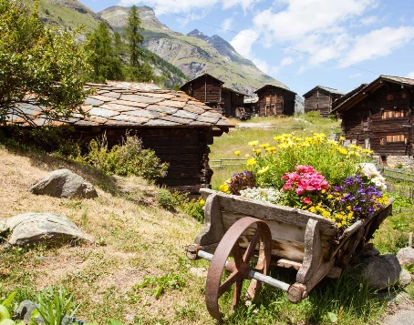 Rando & balnéo Aletsch - Photo 8