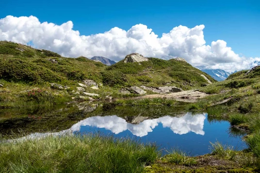 Rando & balnéo Aletsch - Photo 10