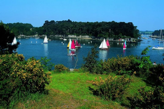 Golfe du Morbihan et ses îles - Photo 9