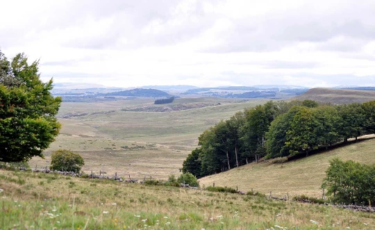 Aubrac : Les Grands Espaces en liberté - Photo 6