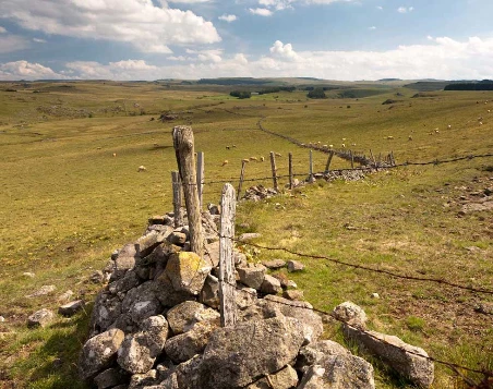 Aubrac : Les Grands Espaces en liberté - Photo 11
