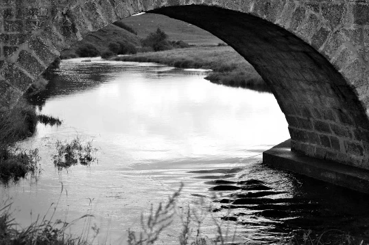 Aubrac : Les Grands Espaces en liberté - Photo 4