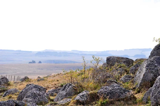 Aubrac : Les Grands Espaces en liberté - Photo 3