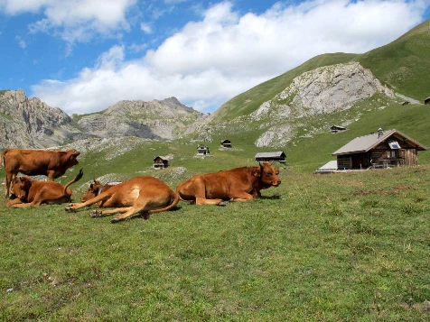 Multiactivités dans le Queyras - Photo 3