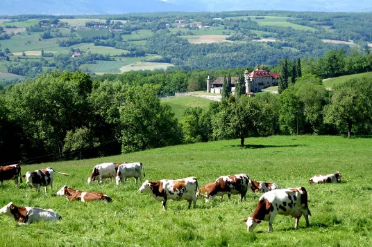 Sur les pas des Huguenots : Chambéry - Genève - Photo 1
