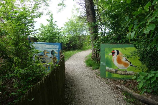 Sur les pas des Huguenots : Chambéry - Genève - Photo 11
