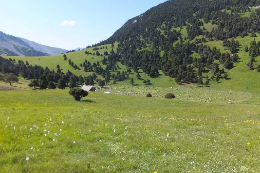 Sur les pas des Huguenots : Die - Le Percy - Photo 3