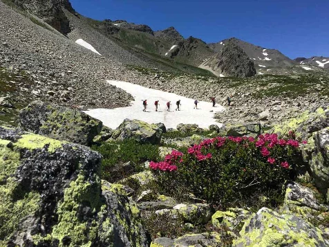 Tour de la Vallée de Clarée, lacs et vallons - Photo 5