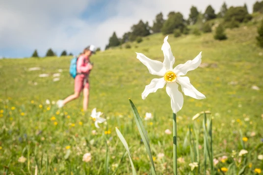 Les petits randonneurs du Vercors en liberté - Photo 4