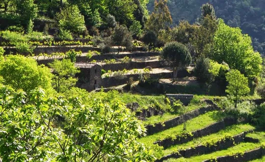 Retrouvance® : Monts d'Ardèche - Photo 7