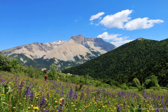 Retrouvance® : Buëch Dévoluy - Photo 2