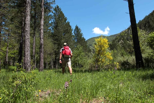 Retrouvance® : Buëch Dévoluy - Photo 7