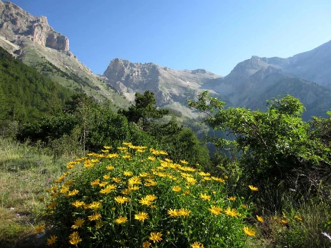 Retrouvance® : Buëch Dévoluy - Photo 6