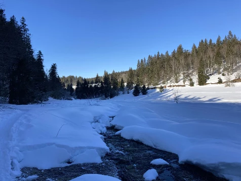 Raquettes & Détente dans le Jura - Photo 9