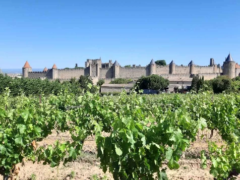 WE Réveillon à Carcassonne - Photo 3