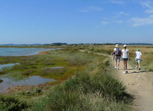 WE Réveillon Golfe du Morbihan - Photo 5