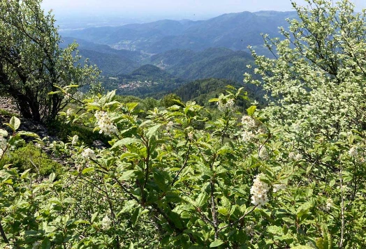 Rando & Bien Etre dans les Hautes Vosges - Photo 9