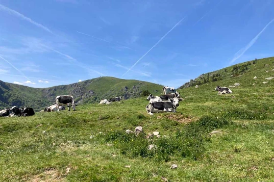 Rando & Bien Etre dans les Hautes Vosges - Photo 12