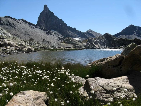 Ubaye: Vallée sauvage - Photo 7