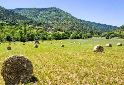 Sur les Pas des Huguenots - De Poët Laval à Die - Photo 3