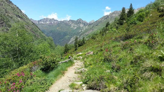 Retrouvance® : Vicdessos - Photo 5