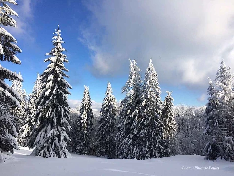 Rando Hivernale & bien-être dans les Vosges - Photo 7